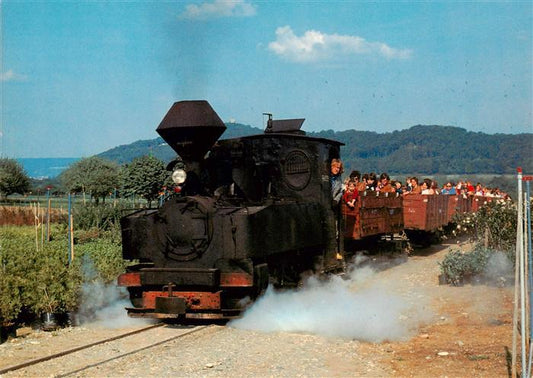 13901414 Schinznach Bad Schinznacher Baumschulbahn Dampflokomotive Taxus Schinzn