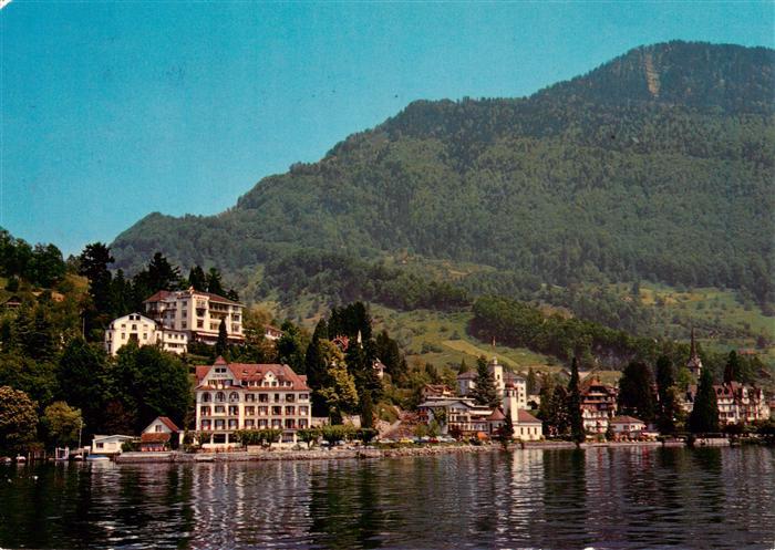 13912578 Weggis_Vierwaldstaettersee Hôtel central au bord du lac