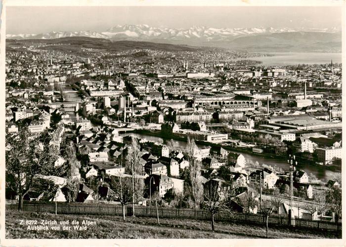 13913338 Zurich__ZH Vue panoramique sur les Alpes Vue depuis le Waid