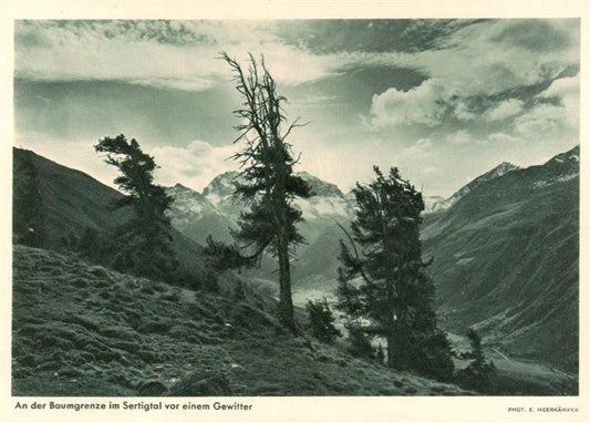 13918173 Sertigtal_GR An der Baumgrenze vor einem Gewitter