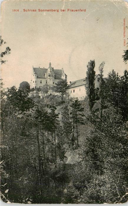 13918894 Frauenfeld_TG Château de Sonnenberg