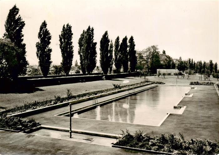 13919325 Basel_BS Piscine de jardin au bassin d'apprentissage du Bachgraben