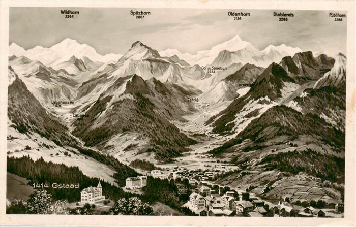 13919570 Gstaad_BE Panorama avec vue sur les Alpes