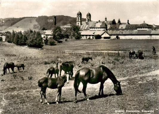 13920476 Einsiedeln__SZ Kloster Einsiedeln Rossweld