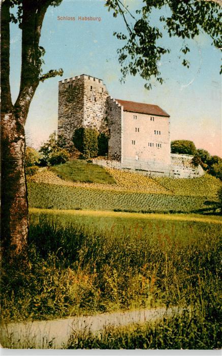 13920486 Schinznach_Bad Schloss Habsburg