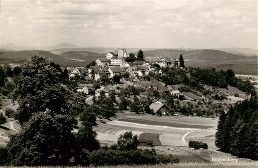 13920577 Regensberg_Dielsdorf_ZH Panorama