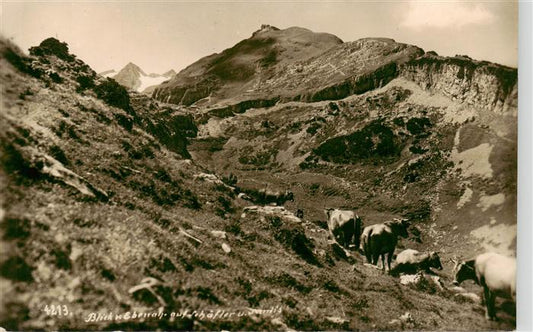 13920600 Schaefler_1925m_IR Blick von Ebenah