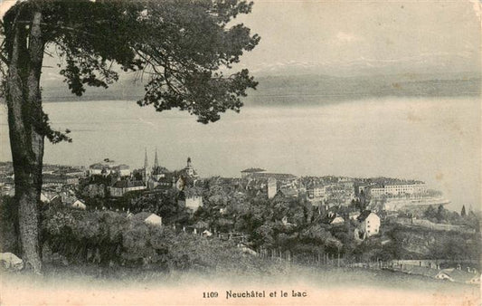 13920721 Neuchâtel_NE Panorama et le Lac