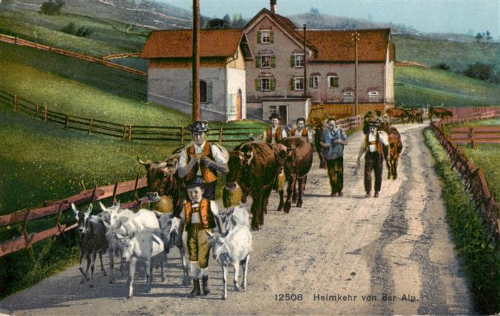 13920790 Appenzell_IR Heimkehr von der Alp