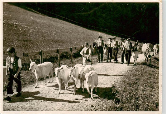 13926232 Appenzell_IR Alp Aufzug