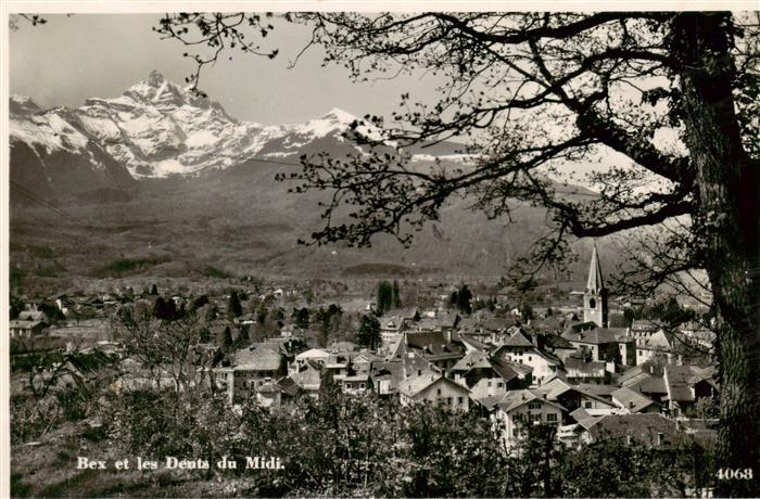 13926430 Bex_VD et les Dents du Midi