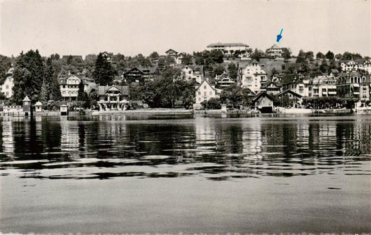 13926441 Weggis_Vierwaldstaettersee Panorama