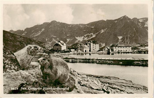 13926446 San_Gottardo_St_Gotthard_TI Gotthardhospiz Panorama