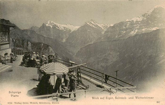 13926484 Schynige-Platte-Bahn_BE Blick auf Eiger Schreck und Wetterhoerner