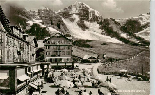 13926548 Kleine_Scheidegg_Interlaken_BE avec des mâles