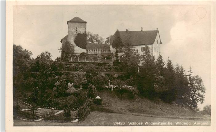 13926572 Wildegg_AG Schloss Wildenstein