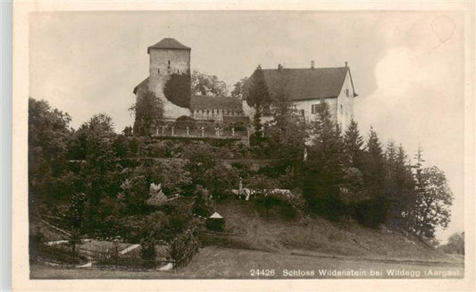 13926572 Wildegg_AG Château de Wildenstein