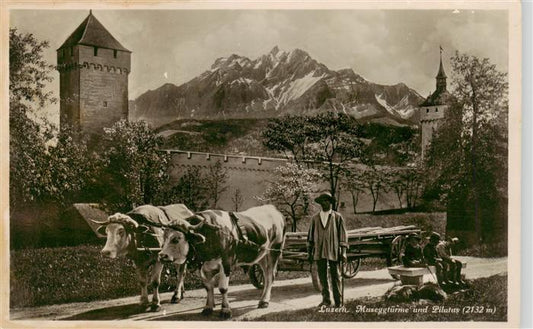 13926575 Lucerne__LU Tours de la Musegg et attelage de bœufs du Pilatus