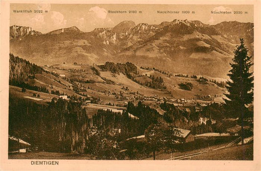 13926576 Diemtigen_BE Panorama