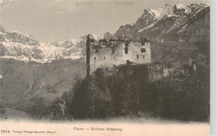 13948234 Flums__SG Schloss Graeplang 7016 Truempi-Knobel Glarus