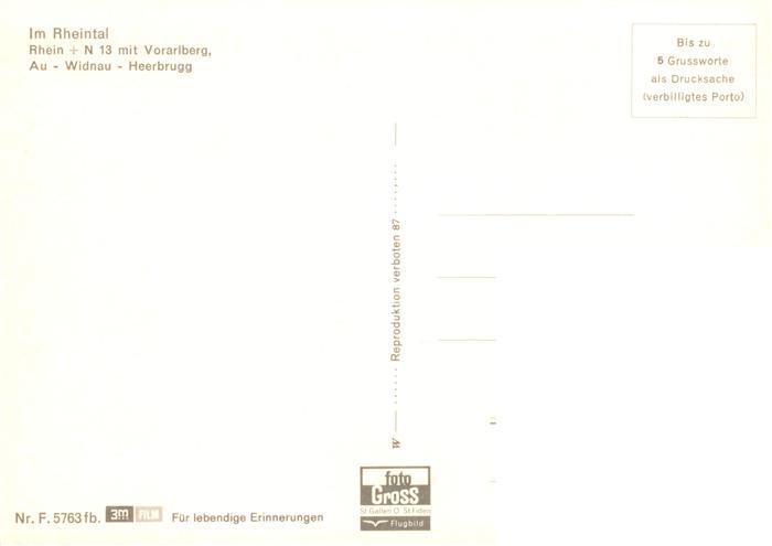 13944777 Heerbrugg_SG Widnau und Au Rheintal mit Vorarlberg Alpenpanorama