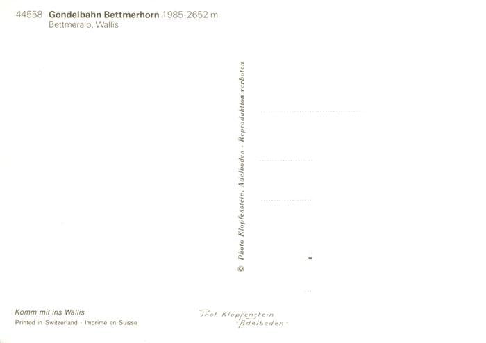13947846 Bettmeralp_VS Gondelbahn Bettmerhorn Fernsicht Alpenpanorama