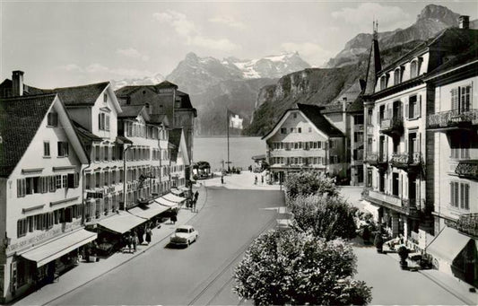 13948702 Brunnen__SZ mit Gitschen und Urirotstock