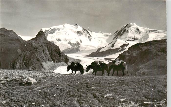 13948745 Zermatt_VS Schwarzsee Monte Rosa Lyskamm