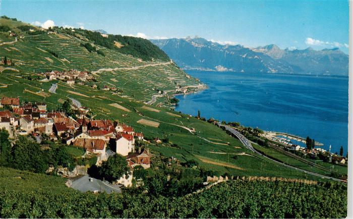 13949762 Lavaux__VD Vue panoramique du pays La Corniche Lac Léman et les Alpes