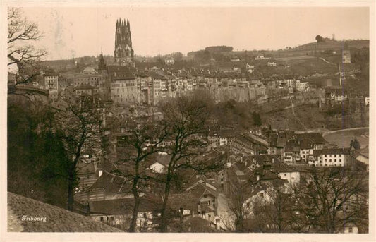 13949842 Fribourg__FR Panorama