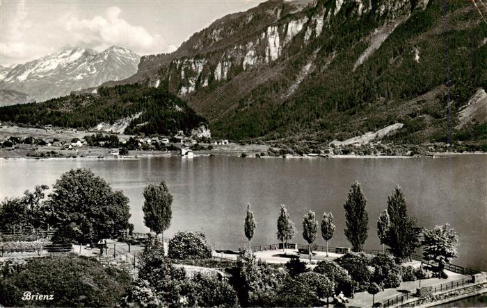 13949879 Brienz_Brienzersee_BE Seepanorama