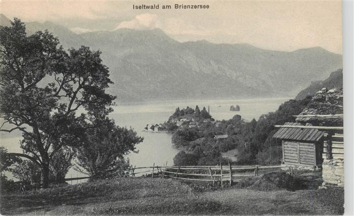 13949880 Iseltwald_BE am Brienzersee