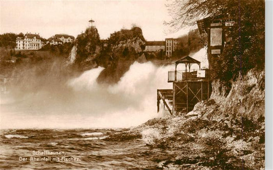 13950280 Schaffhouse__SH Les chutes du Rhin avec des poissons