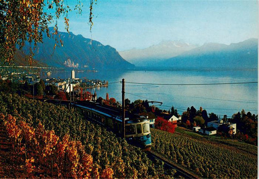 13950731 Montreux__VD Vue sur le Lac Lémanet Dents du Midi