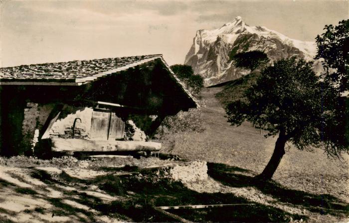 13950000 Grindelwald_BE Wetterhorn Berner Alpen