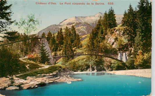 13960453 Chateau-d_Oex_VD Le Pont suspendu de la Sarine