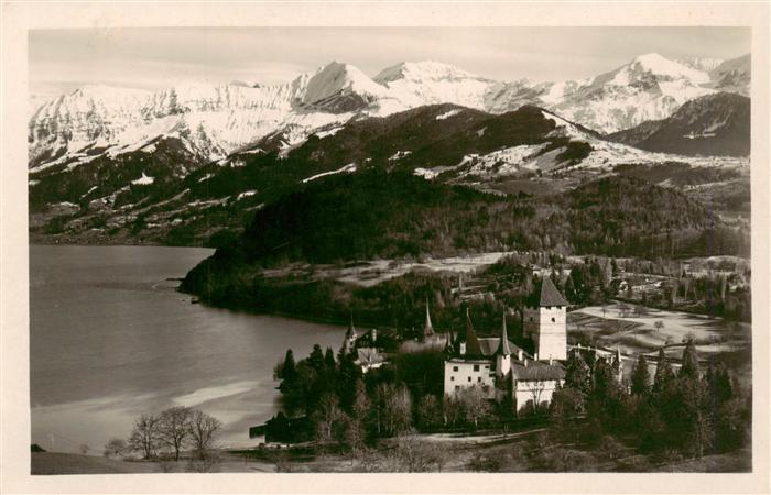 13960714 SPIEZ_Thunersee_BE Panorama