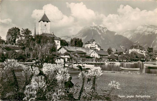 13960718 SPIEZ_Thunersee_BE mit Schloss und Ralligstoecke