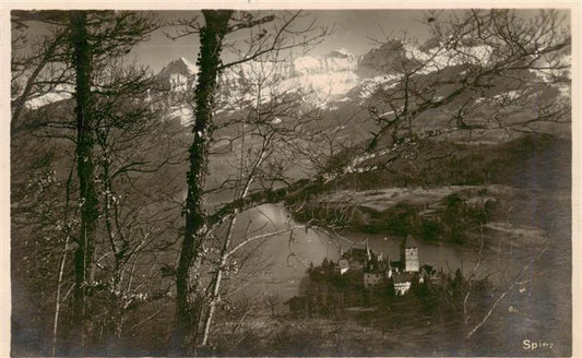 13960719 SPIEZ_Thunersee_BE Panorama mit Schloss