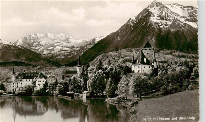 13960738 SPIEZ_Thunersee_BE mit Schloss Niesen und Bluemlisalp