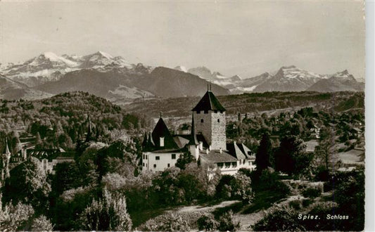 13960741 SPIEZ_Thunersee_BE Panorama mit Schloss