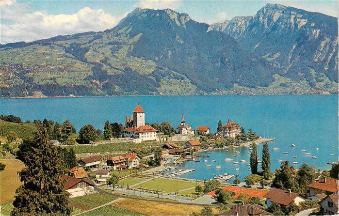 13960743 SPIEZ_Thunersee_BE Panorama mit Schloss und Ralligstoecke