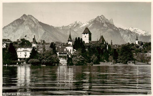 13960744 SPIEZ_Thunersee_BE Panorama mit Schloss