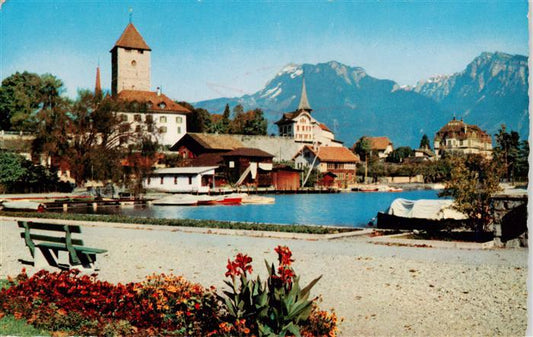 13960747 SPIEZ_Thunersee_BE mit Schloss und Ralligstoecke