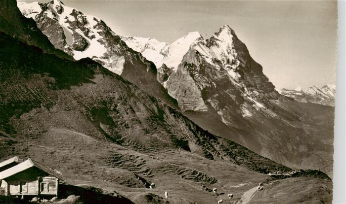 13960776 Grosse_Scheidegg_1962m_BE avec Eiger et Wetterhorn