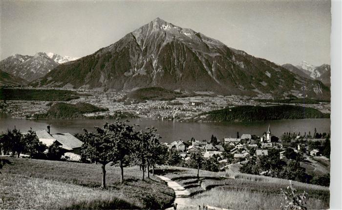 13960779 Sigriswil_Thunersee_BE Panorama mit Niesen