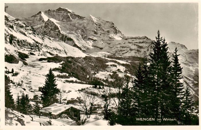 13960791 Wengen__BE Winterpanorama