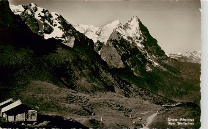 13960827 Grosse_Scheidegg_1962m_BE mit Eiger und Wetterhorn