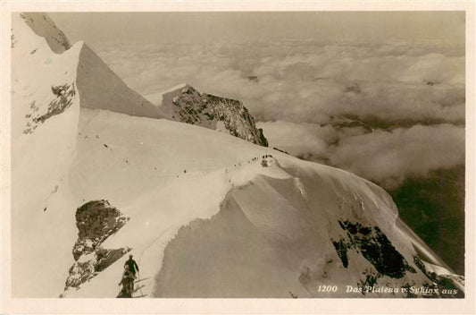 13961011 Jungfrau_4167m_BE Le plateau du Sphinx