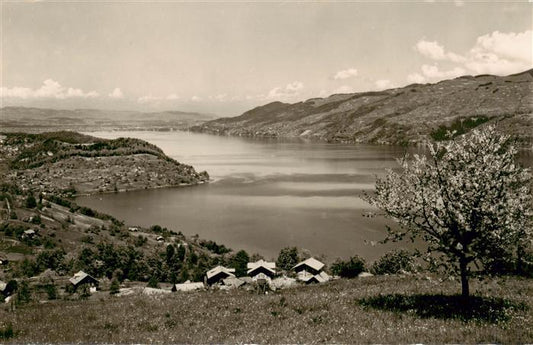 13961023 Krattigen_BE au bord du lac de Thoune